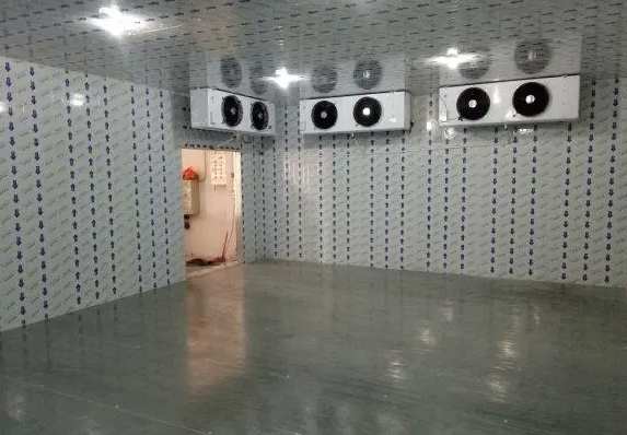 建一個(gè)一百平的 冷庫大約需要多少錢