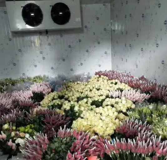 冷庫鮮花老是發霉怎么回事 冷庫鮮花老是發霉怎么回事