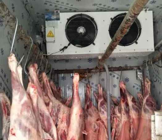  安裝羊肉冷藏庫(kù)大概要多少錢