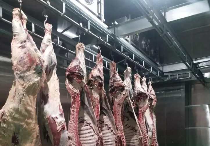  安裝羊肉冷藏庫(kù)大概要多少錢